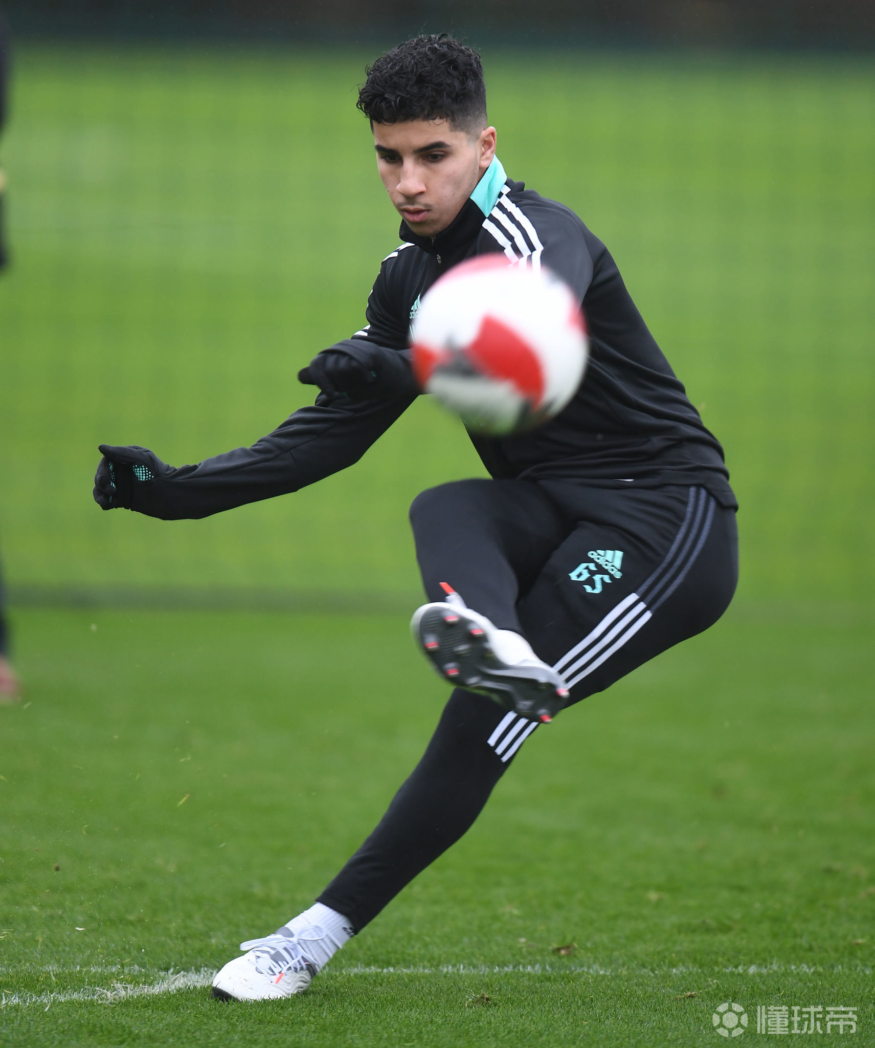 开云体育下载-关于转会期多伦多猛龙备战足总杯，外线爆发细节曝光，震撼外界，高层口径保持一致的信息