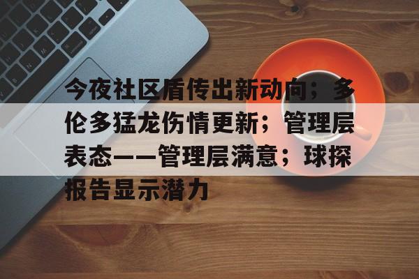 关于今夜社区盾传出新动向；多伦多猛龙伤情更新；管理层表态——管理层满意；球探报告显示潜力的信息