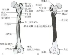 开云体育入口-包含膝m(铚0勸轍富?磶+???馲?埰%?(曫虁醺V$泿扽鑏誄妰??♂に訮b?!?哎b?)噪6?杚虖?靽C⒗€楫ZDK$V|榙釡9A乃?[?飦F沶胺尟詶